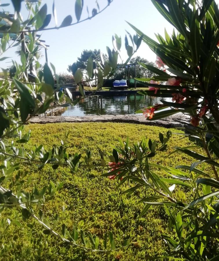 Casa Do Moleiro Villa Santiago do Cacém Екстериор снимка